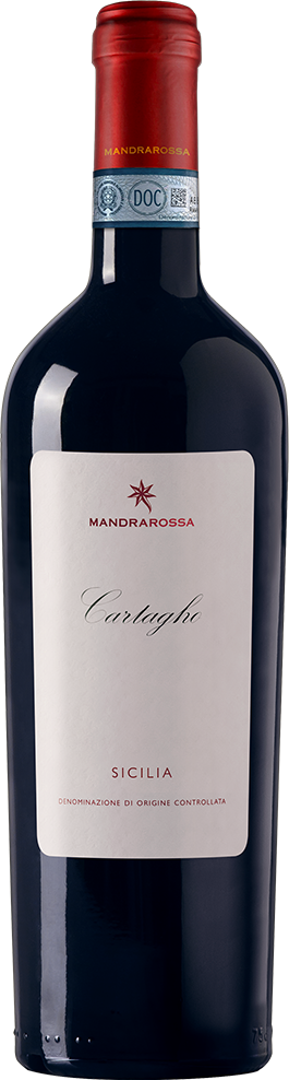 Cartagho - Doc Sicile